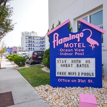 Flamingo Motel Ошен Сити Экстерьер фото