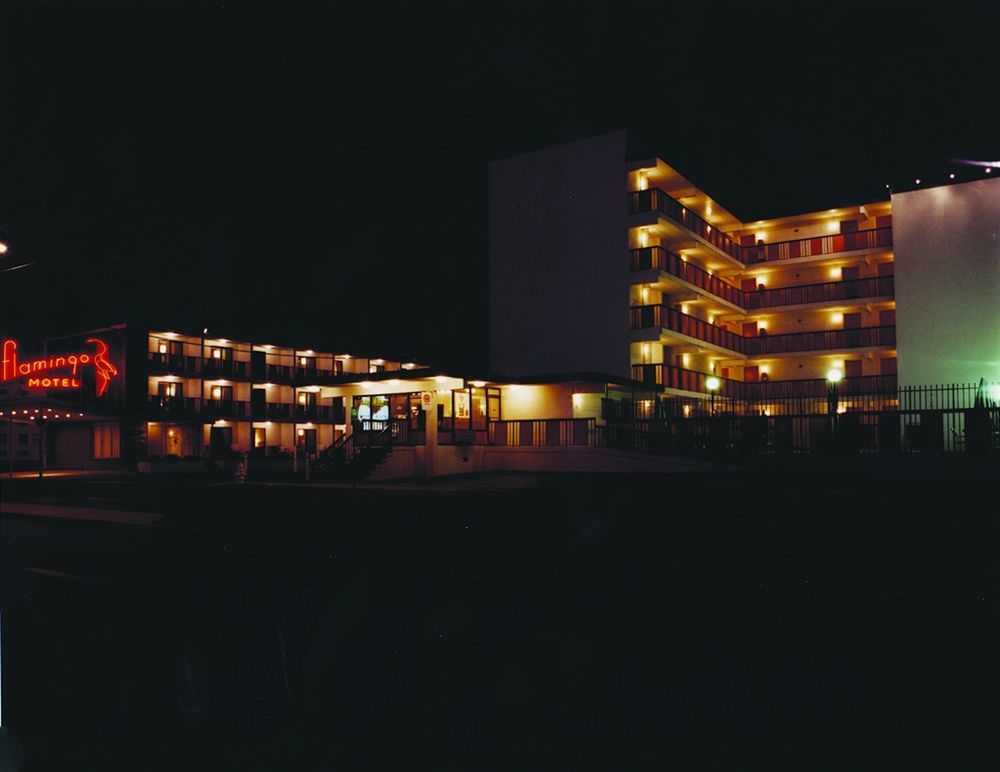 Flamingo Motel Ошен Сити Экстерьер фото